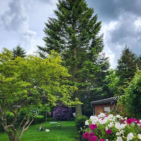 Westkueste Ferienwohnung Heide  Dış mekan fotoğraf
