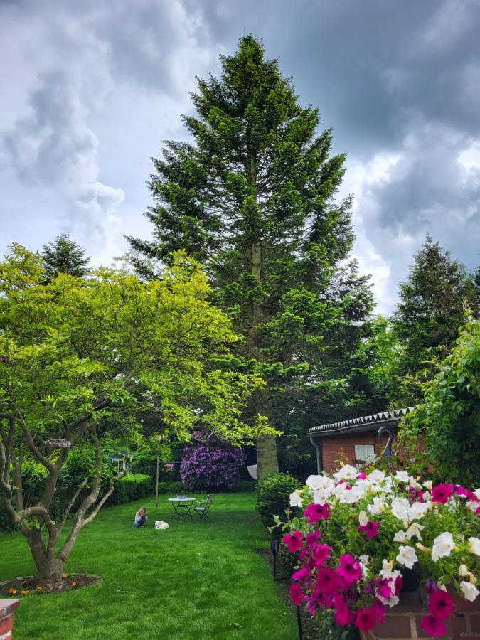Westkueste Ferienwohnung Heide  Dış mekan fotoğraf