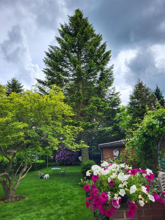 Westkueste Ferienwohnung Heide  Dış mekan fotoğraf