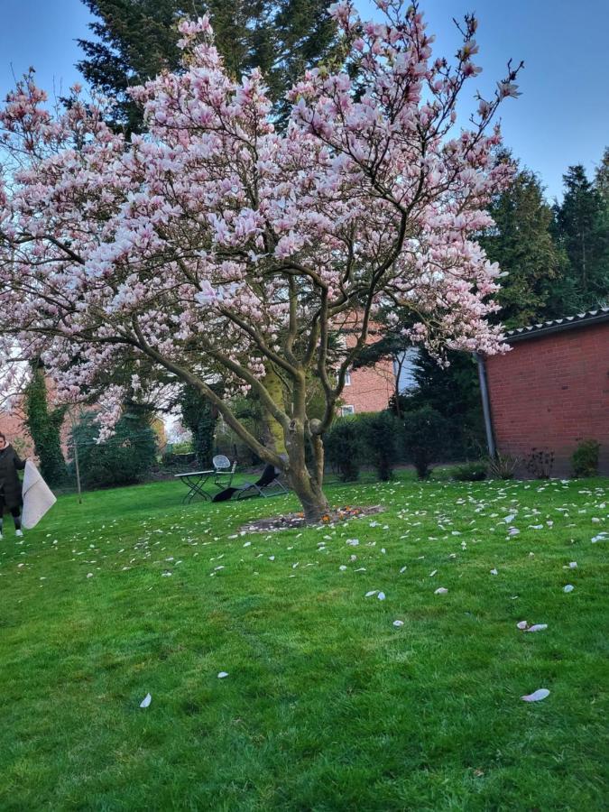 Westkueste Ferienwohnung Heide  Dış mekan fotoğraf